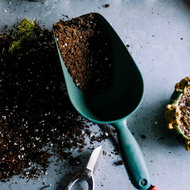 Jardin Potager : Comment Cultiver Vos Propres Légumes en 7 Étapes