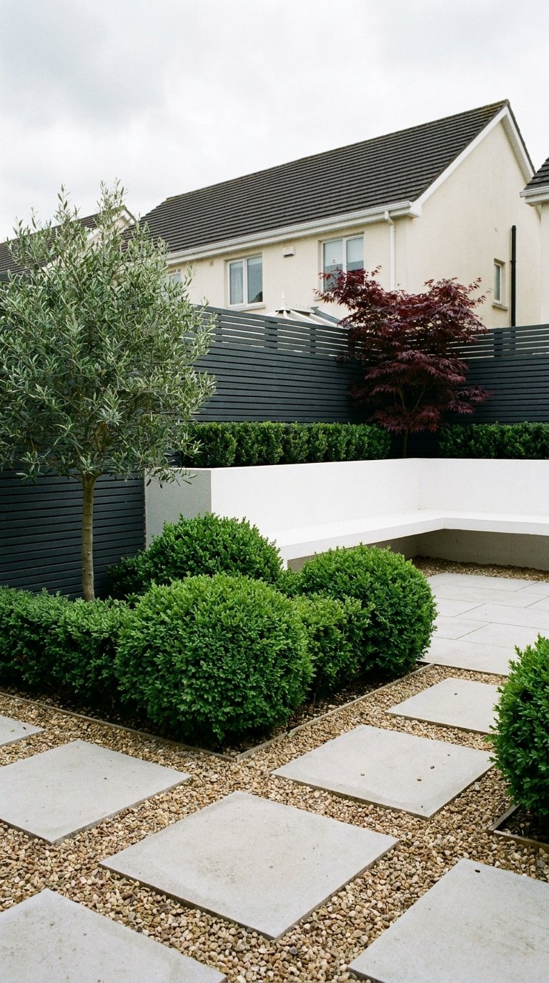 Cour moderne avec buis en boules, olivier, dalles carrées et clôture sombre